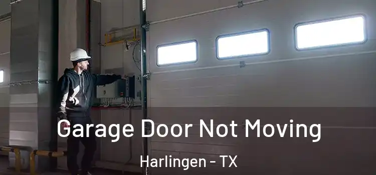  Garage Door Not Moving Harlingen - TX
